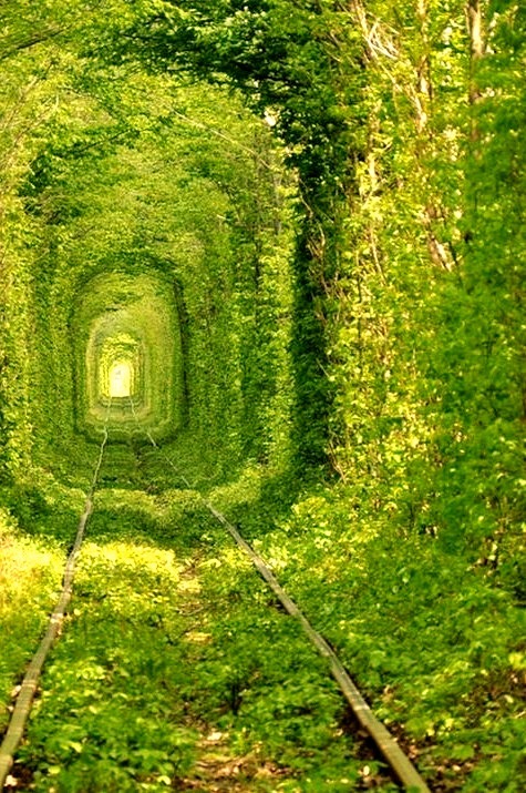 Train Tree Tunnel, Urkraine