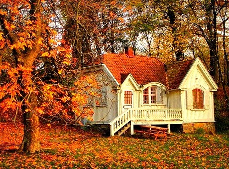 Autumn Cottage, Sweden