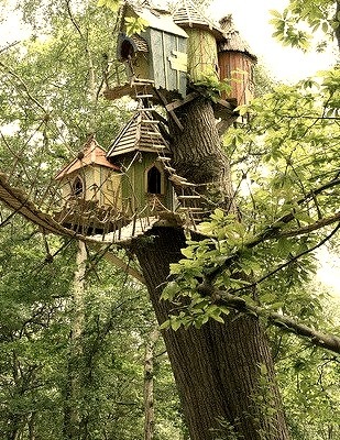 Treehouse, Norfolk, Virginia
