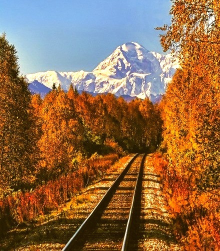 Wilderness Railroad, Mt. McKinley, Alaska