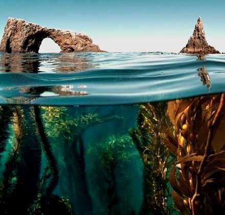 Anacapa Arch, Channel Islands National Park, California 