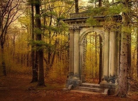 Forest Portal, Italy